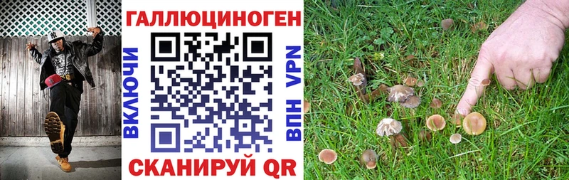 Галлюциногенные грибы Cubensis  Купить  Реутов 